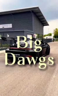 Big Dawgs Capcut Template