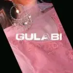 Gulabi Saree Capcut Template