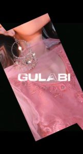 Gulabi Saree Capcut Template